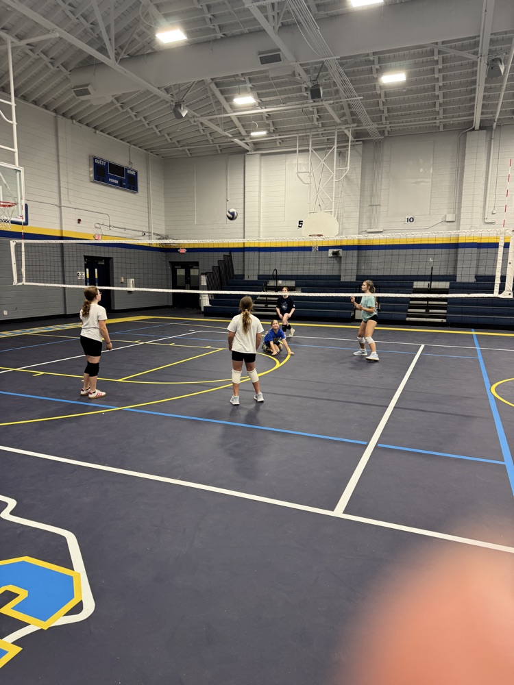 Volleyball Camp