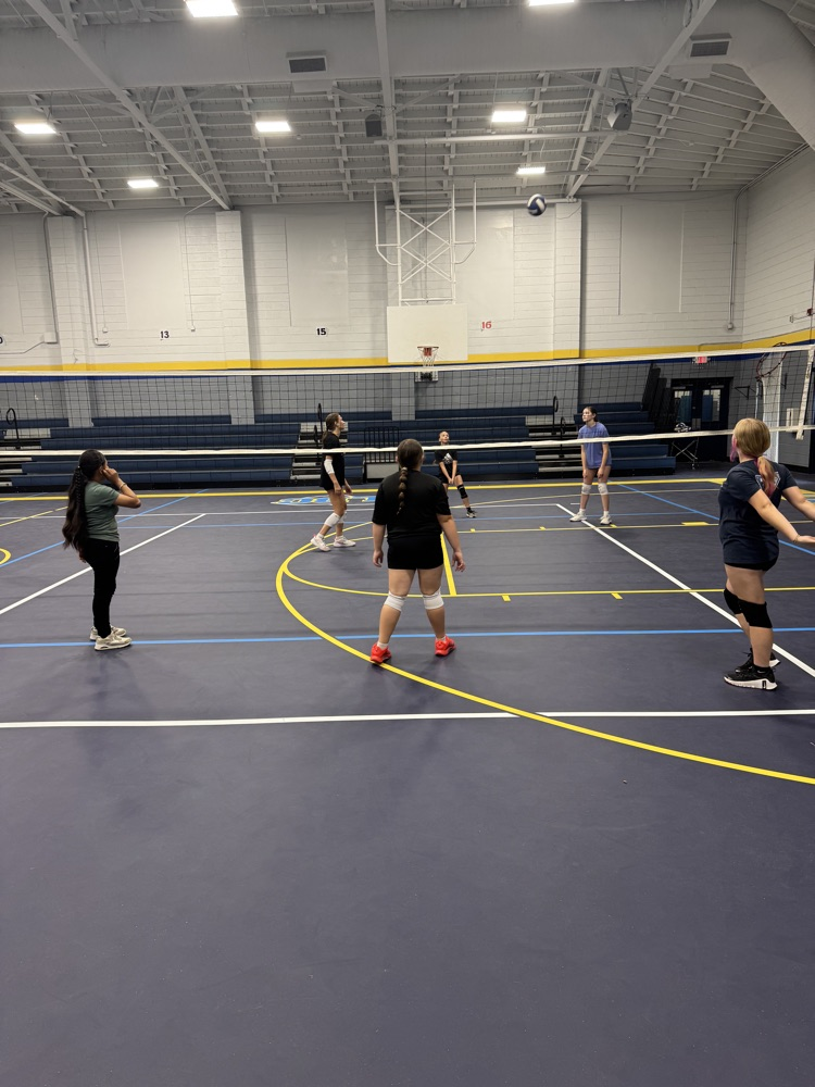 Volleyball Camp