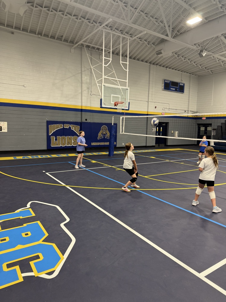 Volleyball Camp