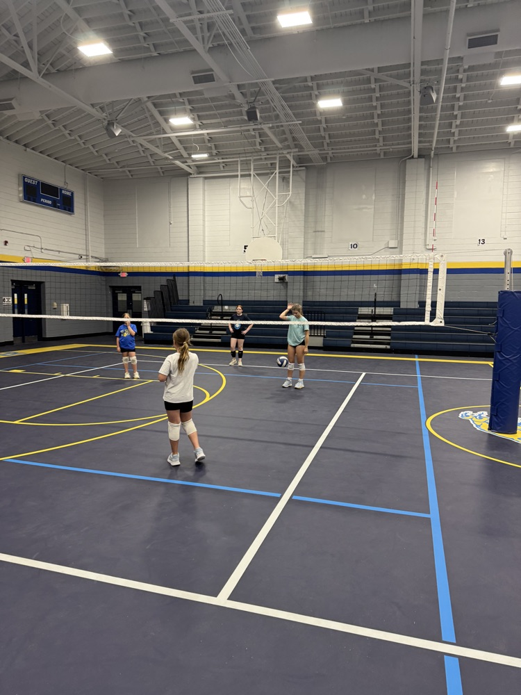 Volleyball Camp