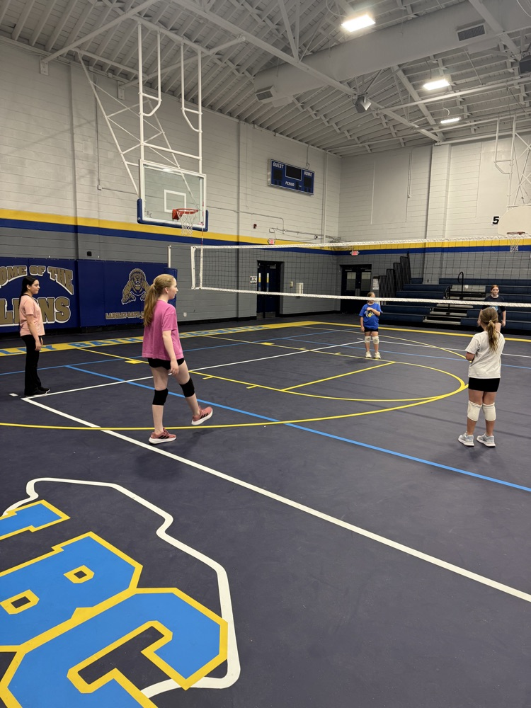 Volleyball Camp