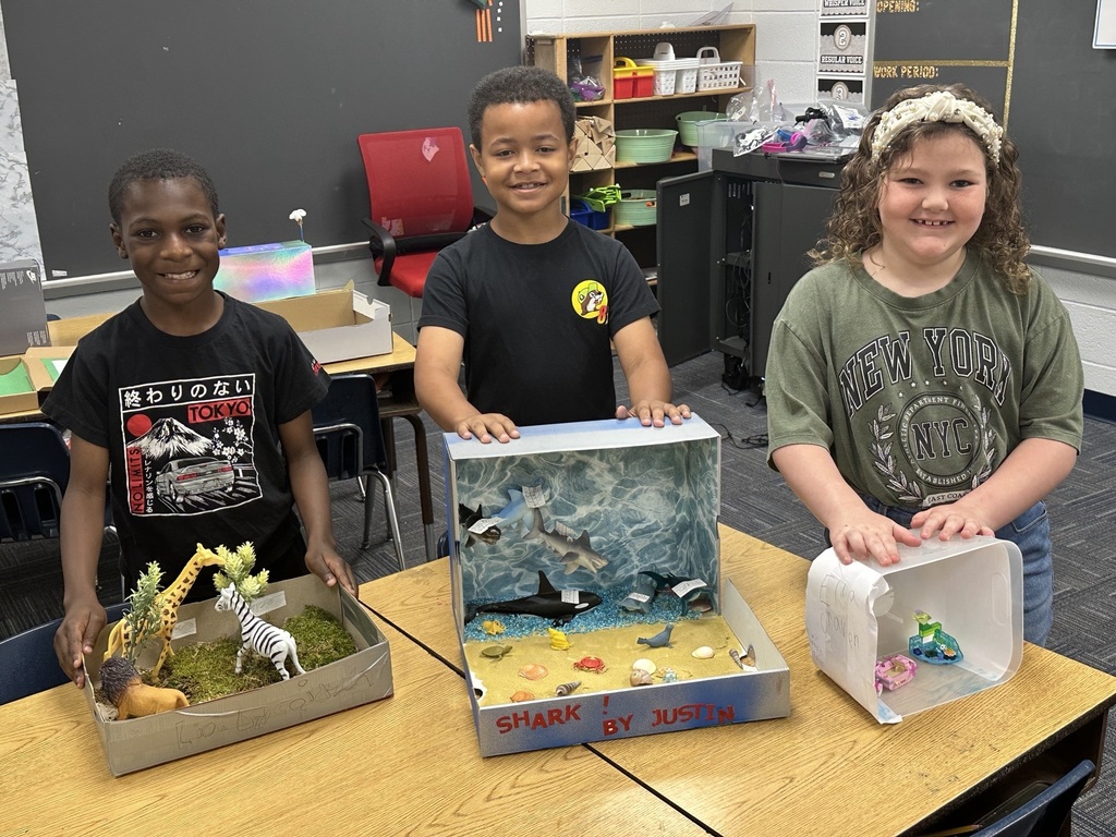 Second Grade habitat dioramas