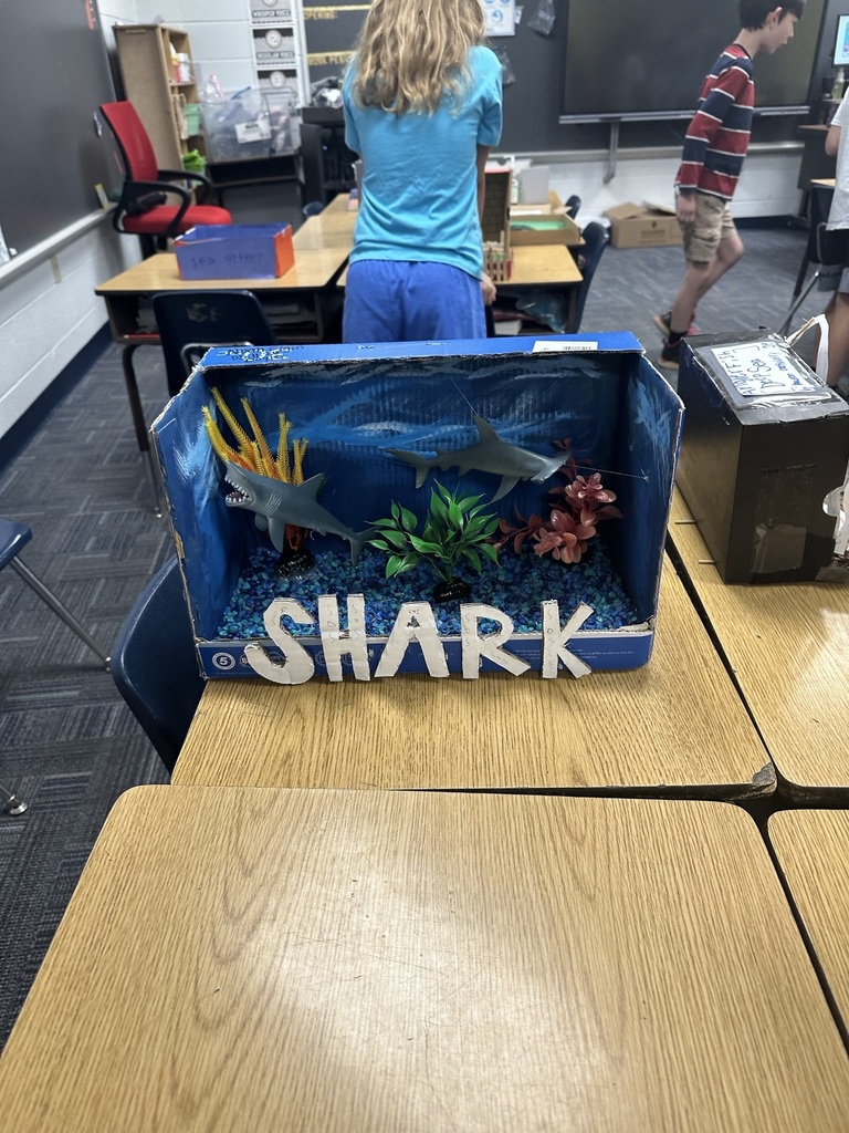 Second Grade habitat dioramas