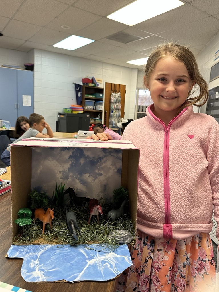 Second Grade habitat dioramas