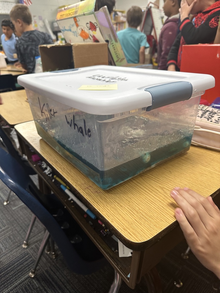 Second Grade habitat dioramas