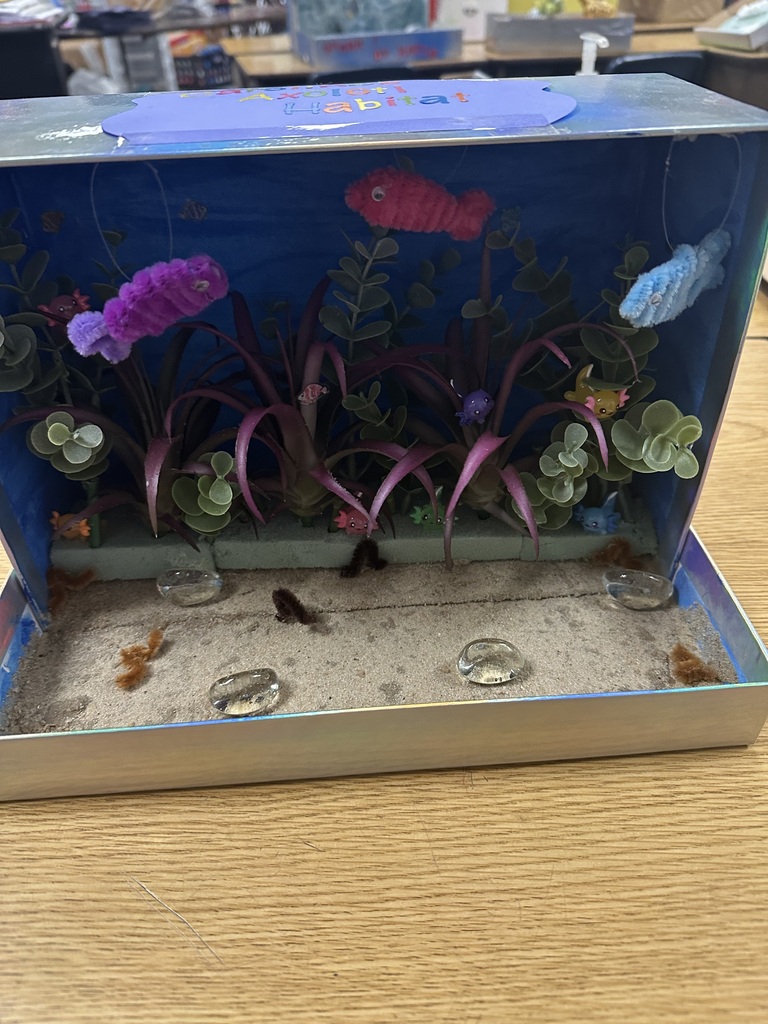 Second Grade habitat dioramas