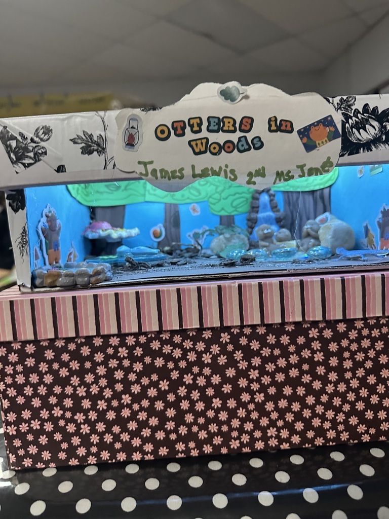 Second Grade habitat dioramas