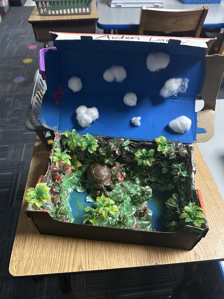 Second Grade habitat dioramas