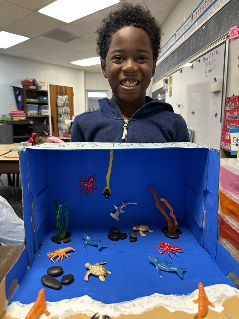 Second Grade habitat dioramas