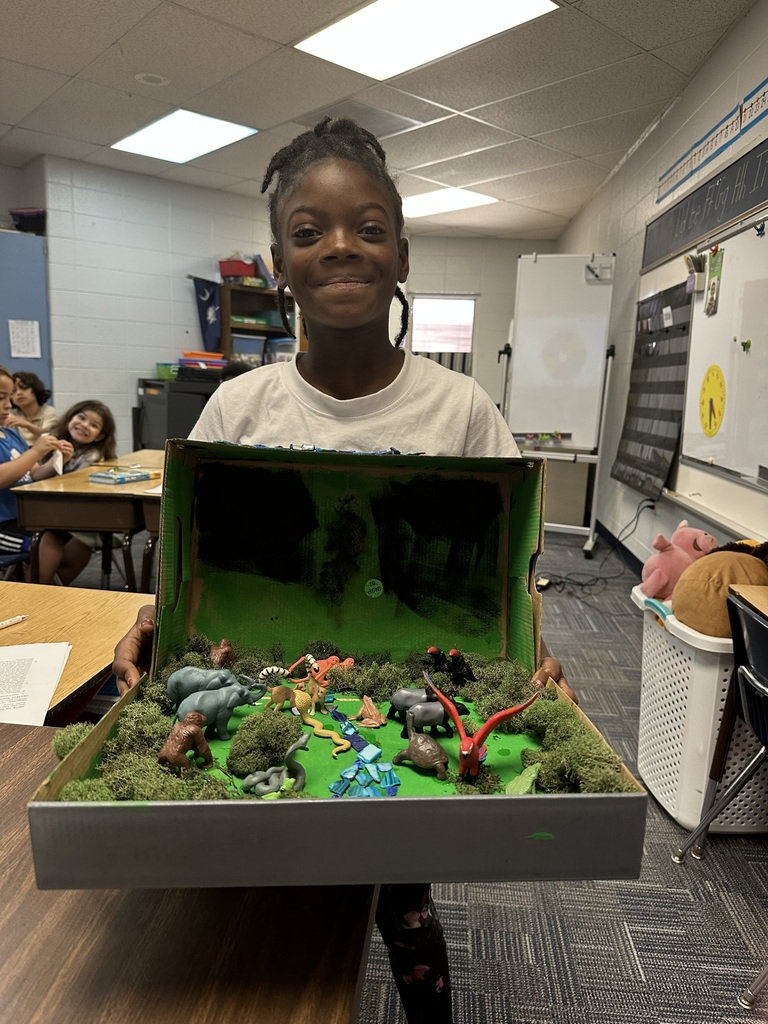 Second Grade habitat dioramas