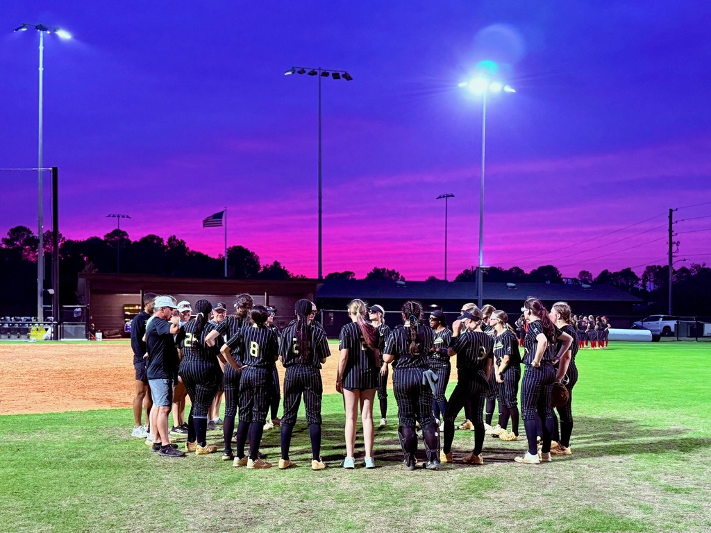 Softball Team in a circle on a field with beautiful purple and blue night sky. 