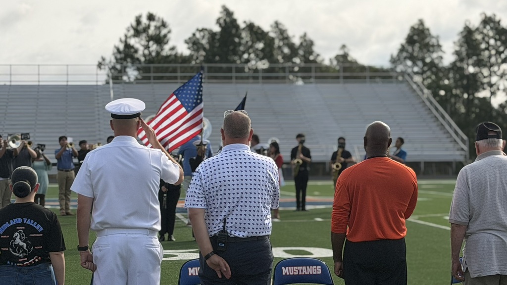 Men saluting the American Flag.