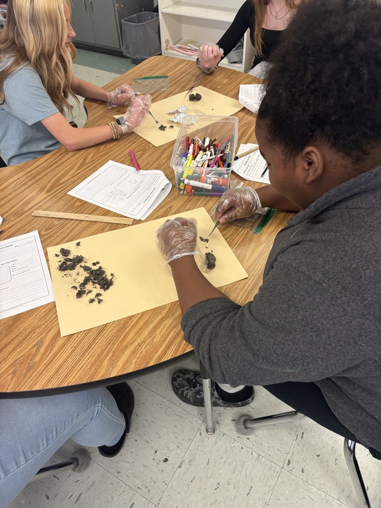 Dissecting owl pellets.