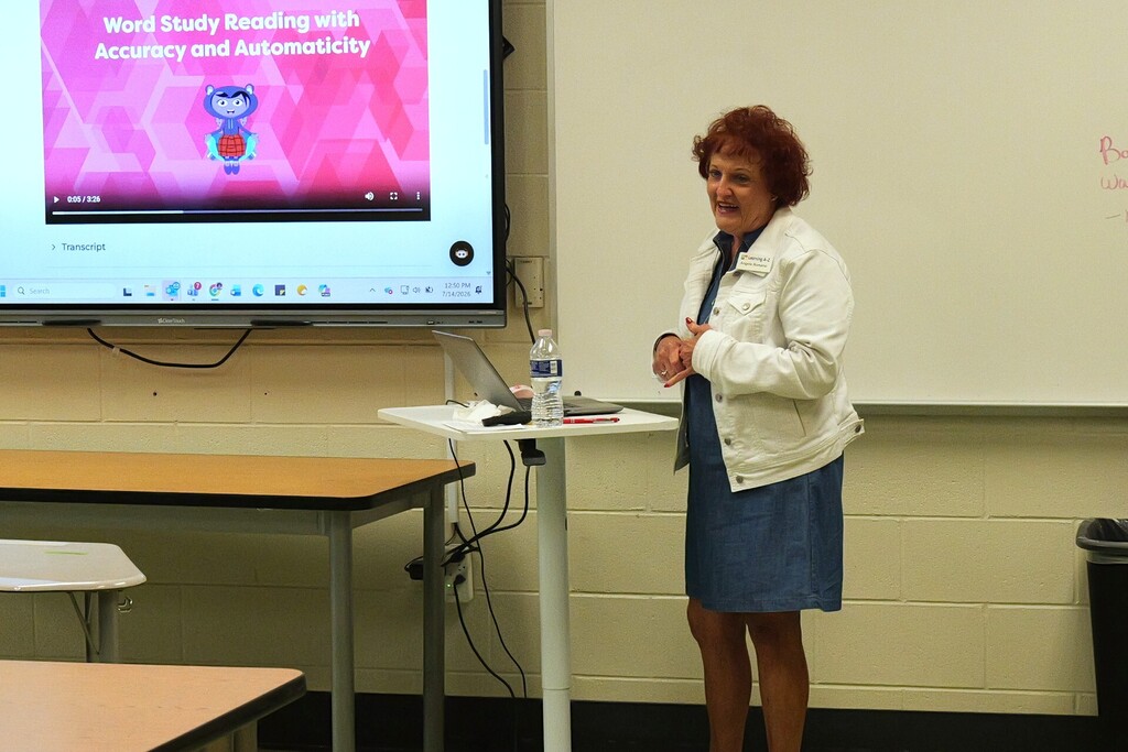 An instructor leading a professional development session.