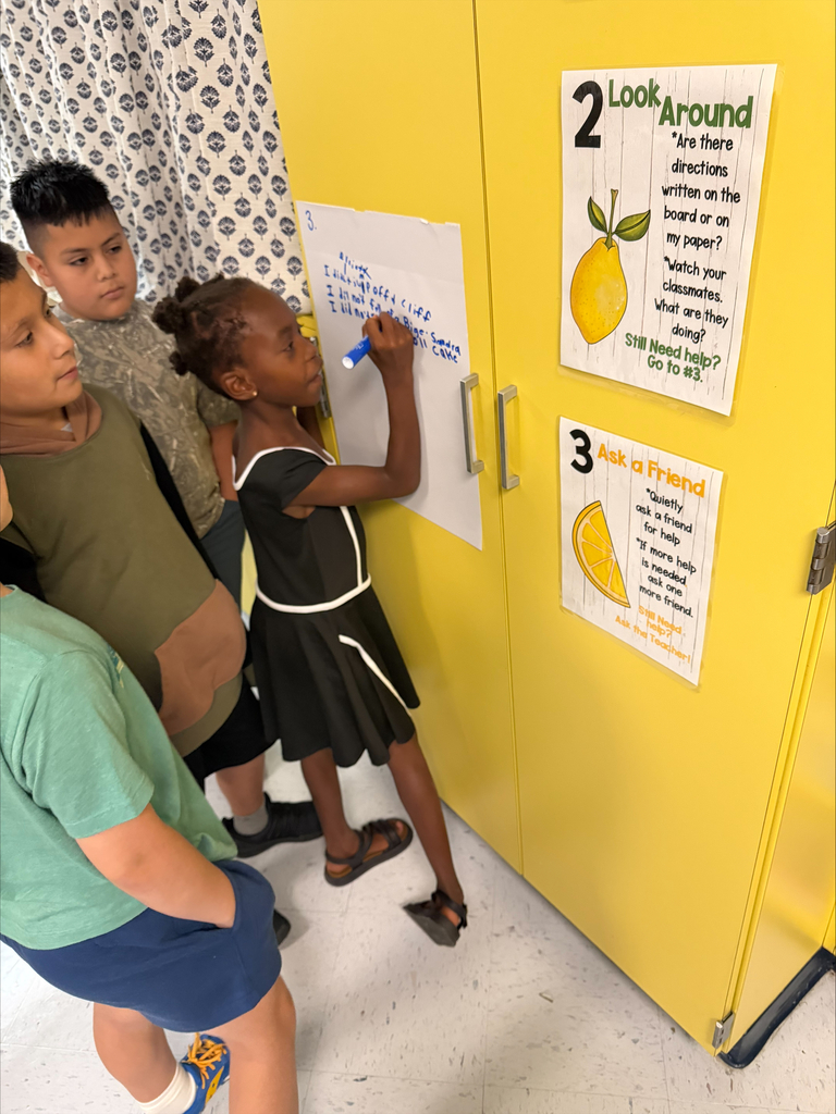 Fourth Grade Students Working in groups