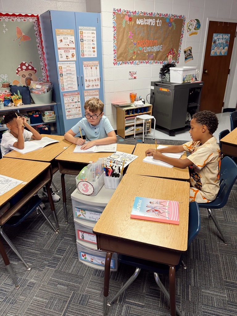 Second Graders Writing 
