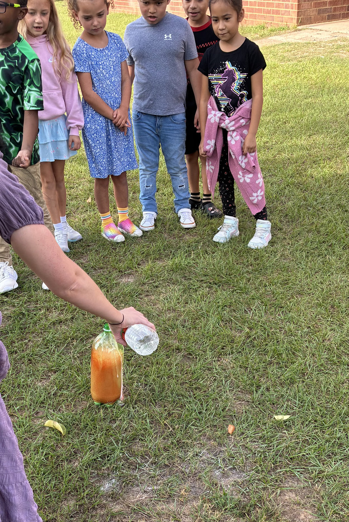 Science and Literature in Second Grade