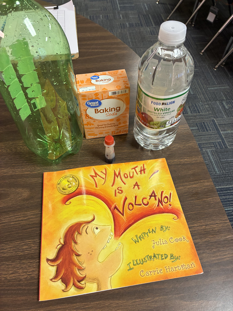 Science and Literature in Second Grade