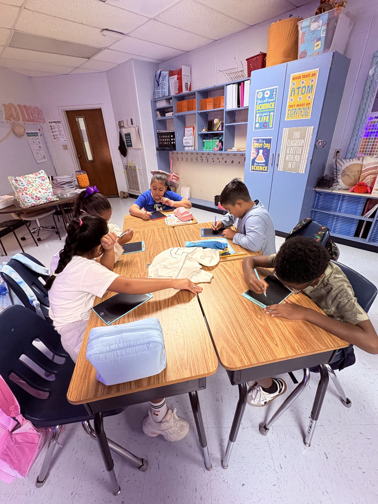 Data Collection in Third Grade