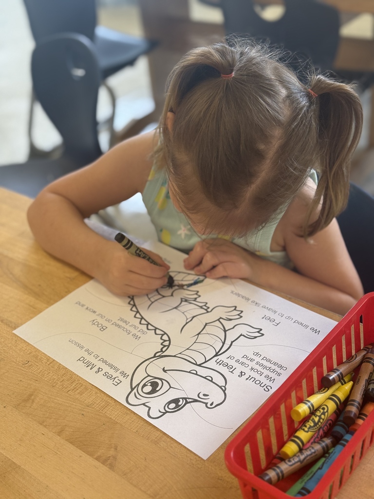 Image of young student coloring an alligator
