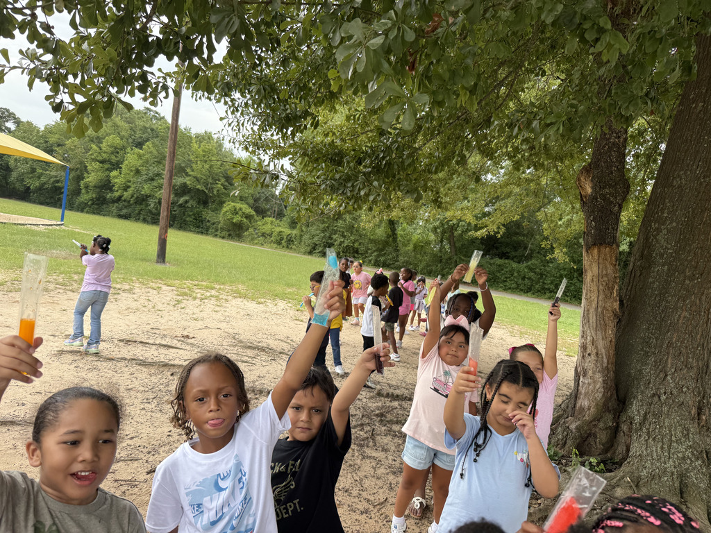 Popsicle for First Grade