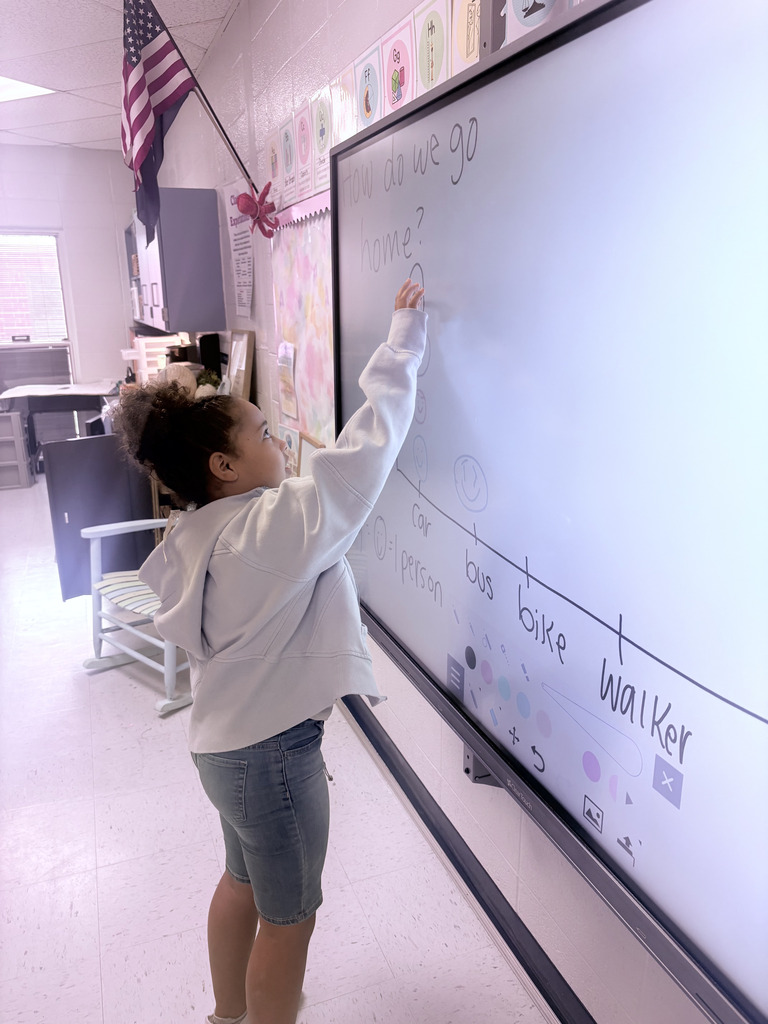 Third Grade students creating pictograhics
