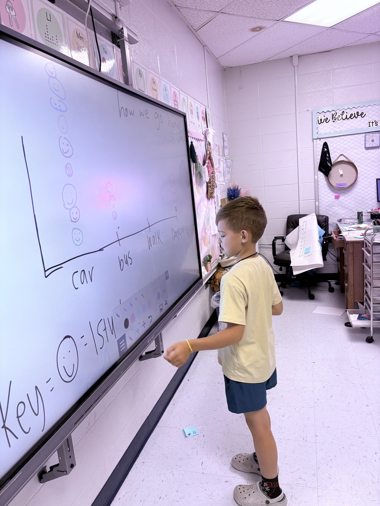 Third Grade students creating pictograhics