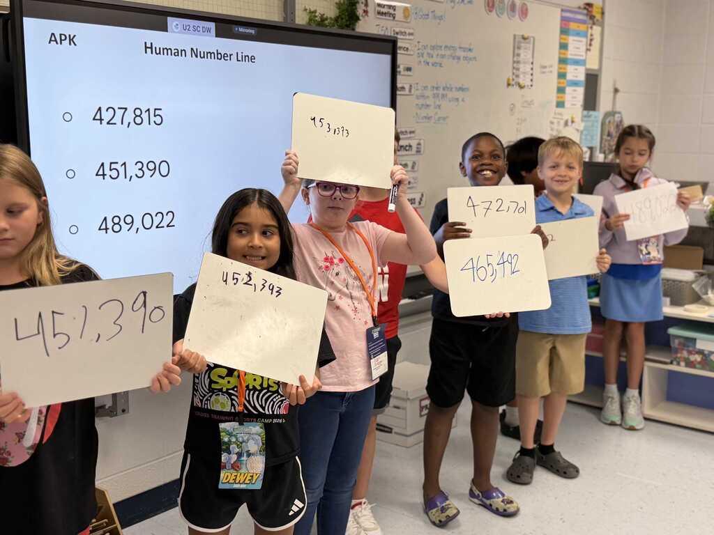 Human number line