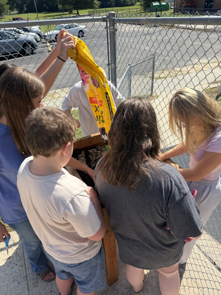 Mrs. Allen's student garden.