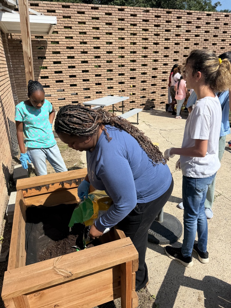 Mrs. Allen's student garden.