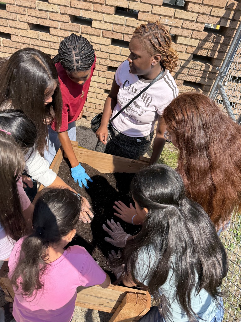 Mrs. Allen's student garden.