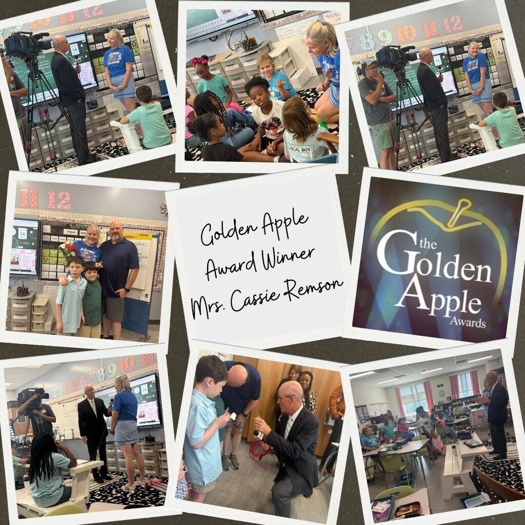 Remson Golden Apple Award