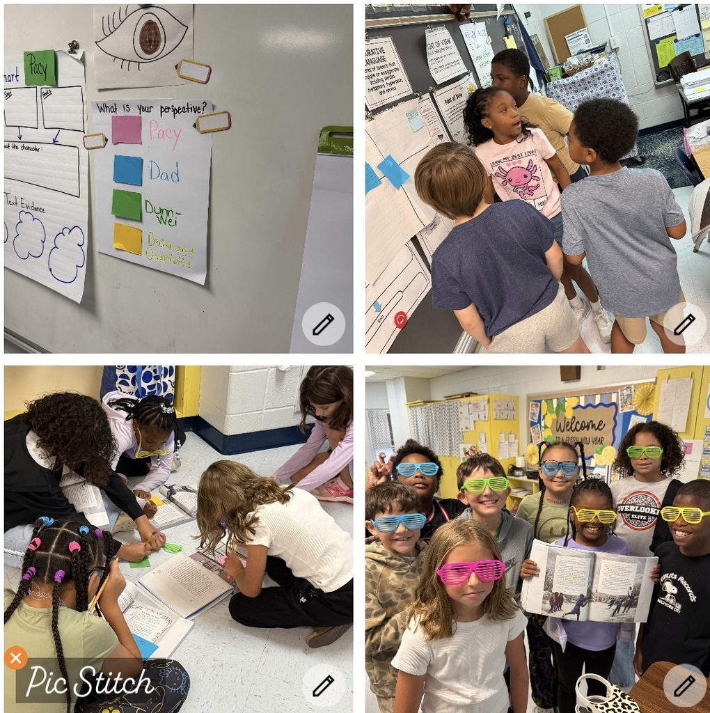 Fourth Graders learning about a characters' perspective is how they "see" things