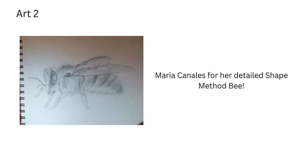 Sketch of a bee on a page titled "Art 2" with the text "Maria Canales for her detailed Shape Method Bee."