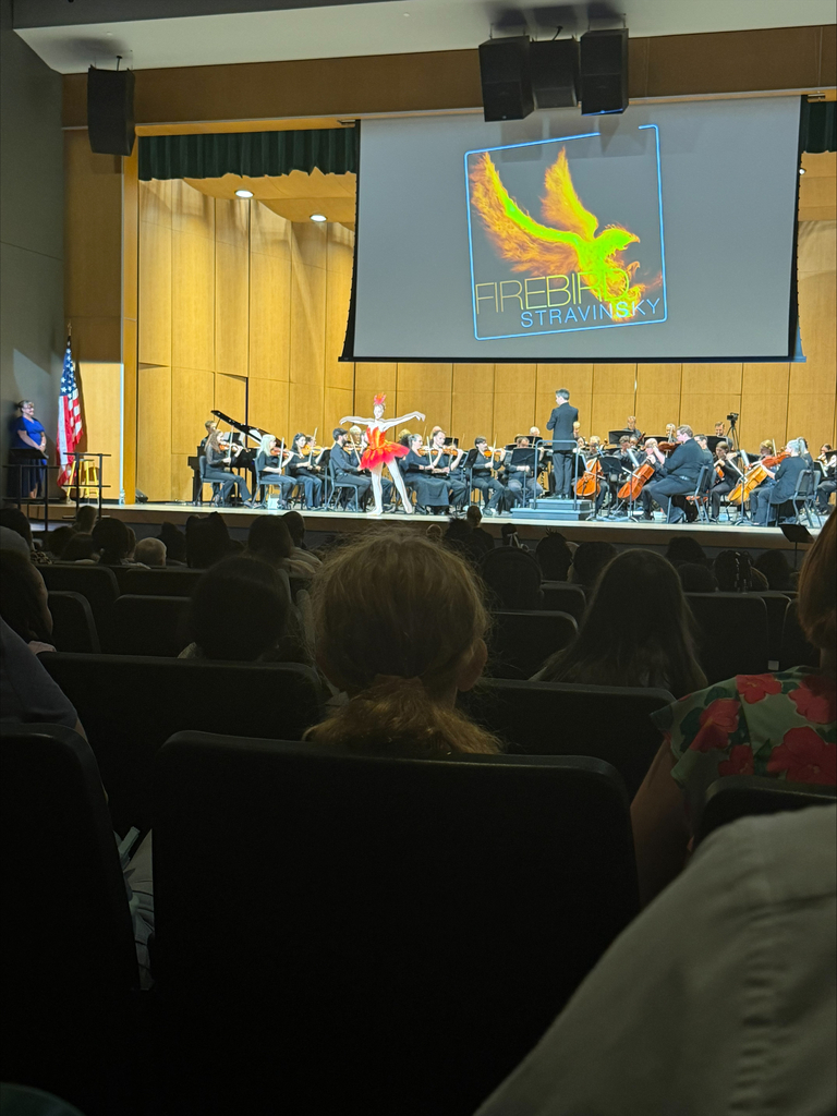 A seated audience views a stage where a band plays instruments. A flag is on the left, and a screen displays a yellow bird.