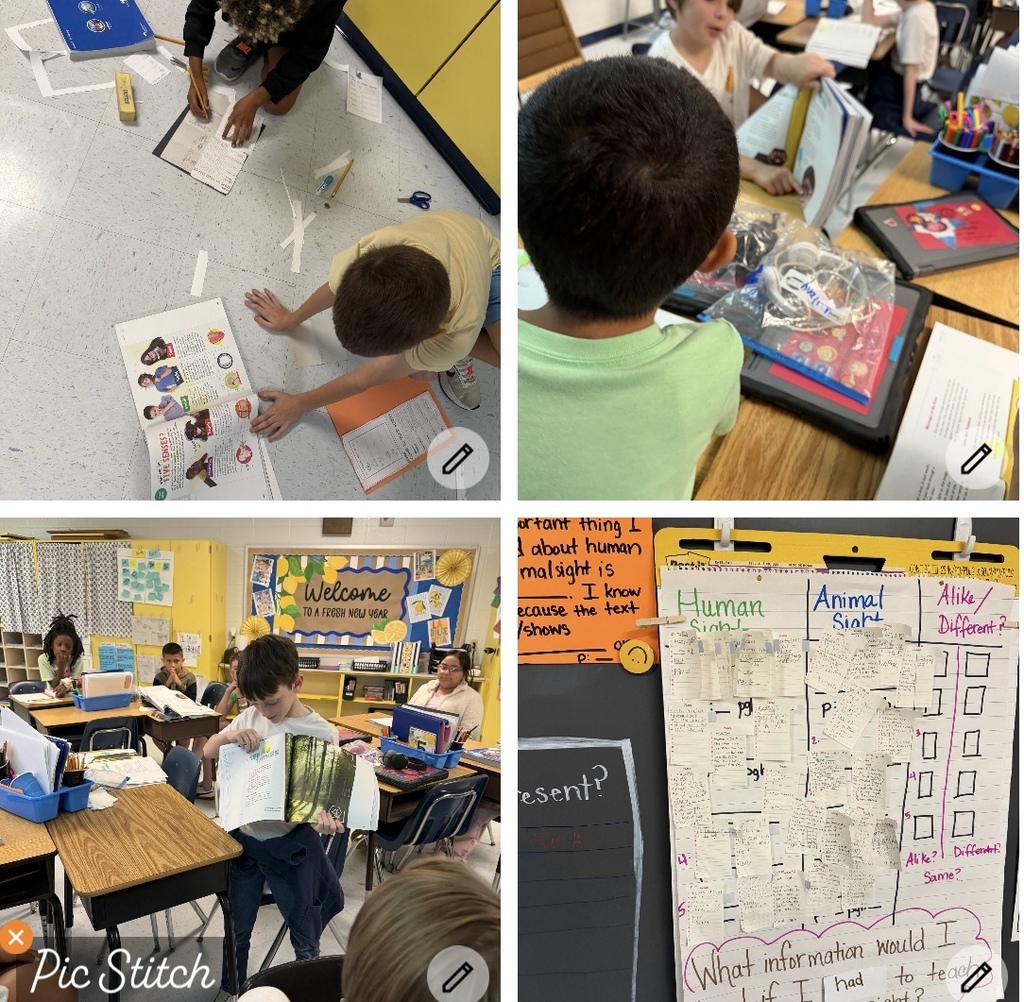Four photos of children in a classroom. One with hands on a colorful chart. Another with hands on a book.