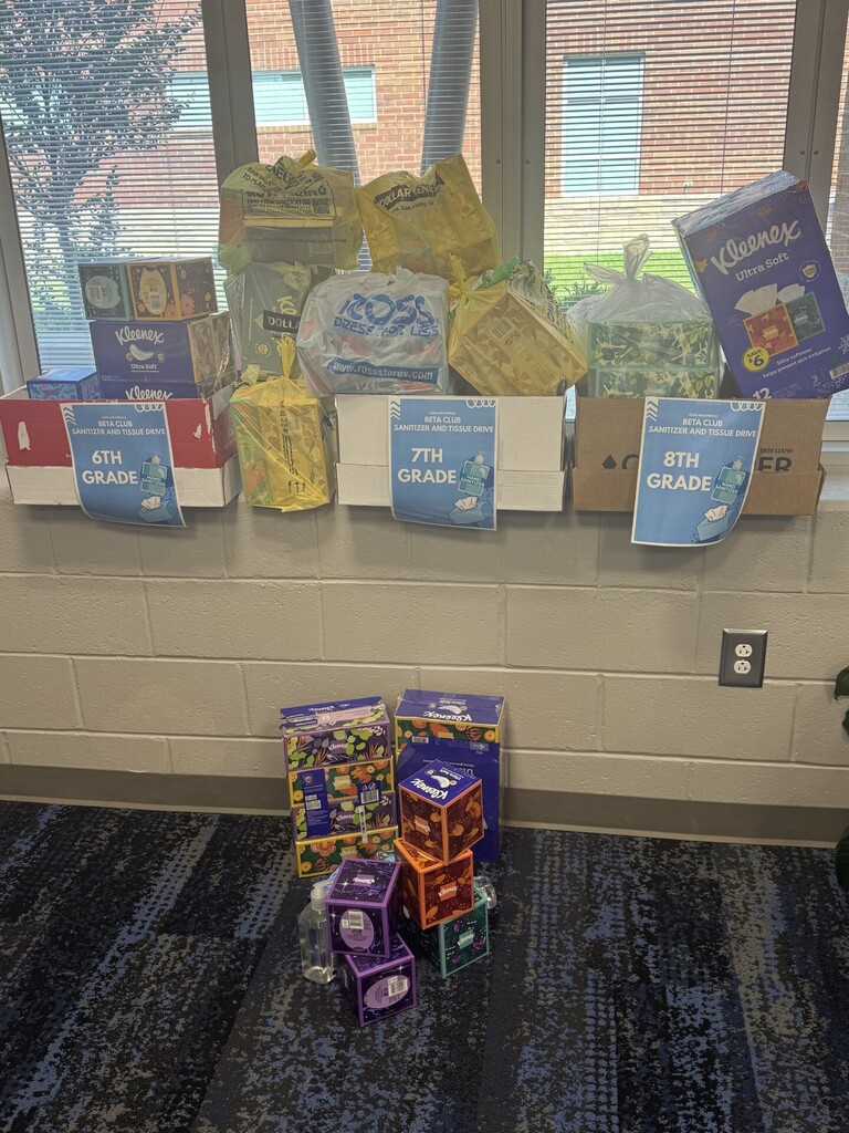 Boxes of tissues and hand sanitizer collected by Beta Club