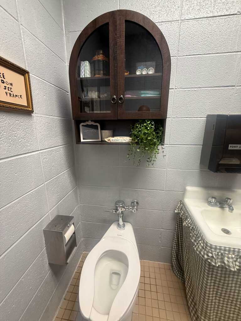 A bathroom with a white toilet, a sink, and a wooden cabinet with a plant on top. A tissue dispenser is on the wall next to the toilet. A framed picture is on the wall.