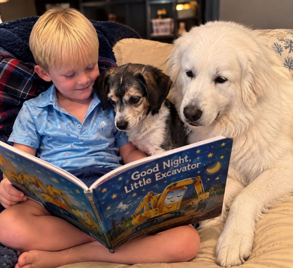 Reading with a pet