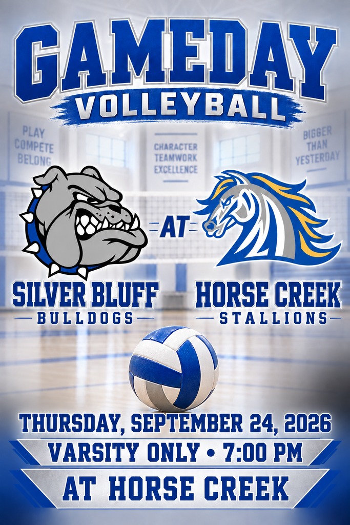 Volleyball at Horse Creek