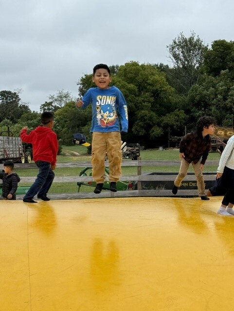 Five children jumping on a yellow bouncy surface. One child jumps in the air while others watch.