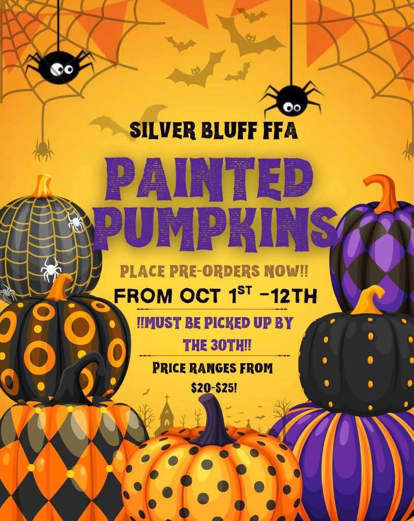 FFA Painted Pumpkins