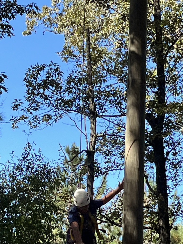 Camp Gravatt