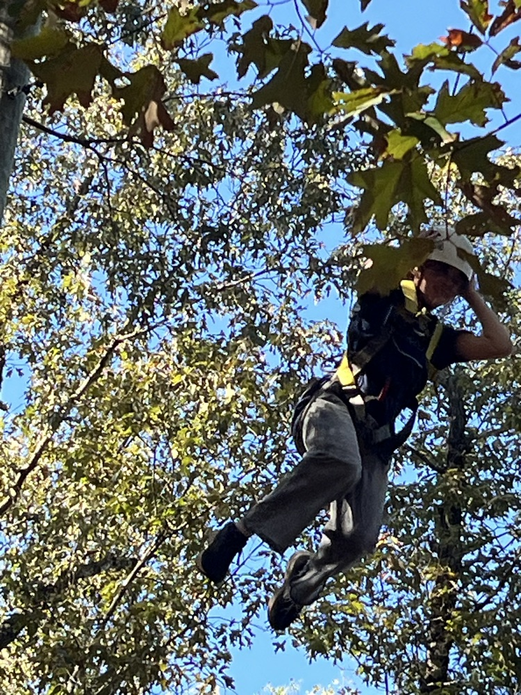 Camp Gravatt 