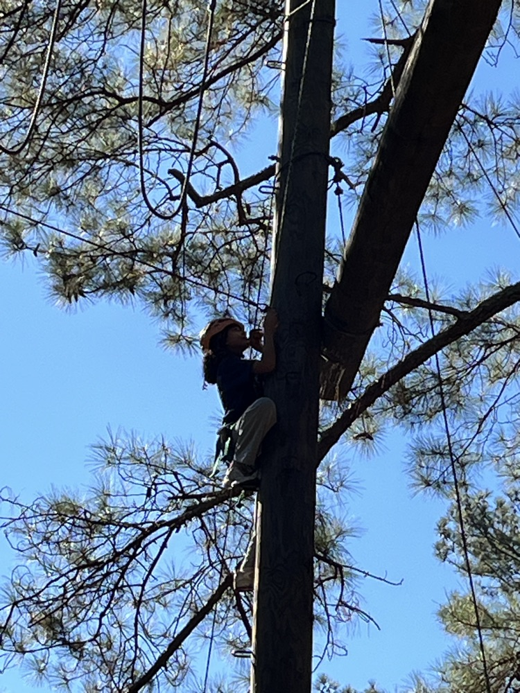 Camp Gravatt 