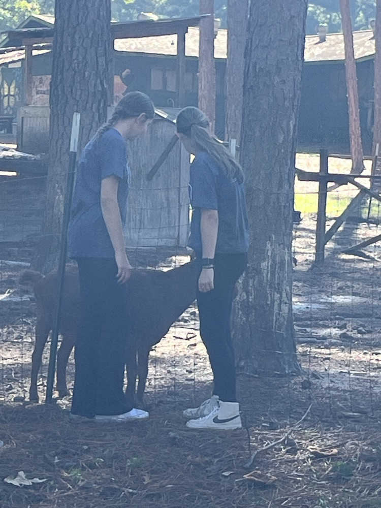 Camp Gravatt 