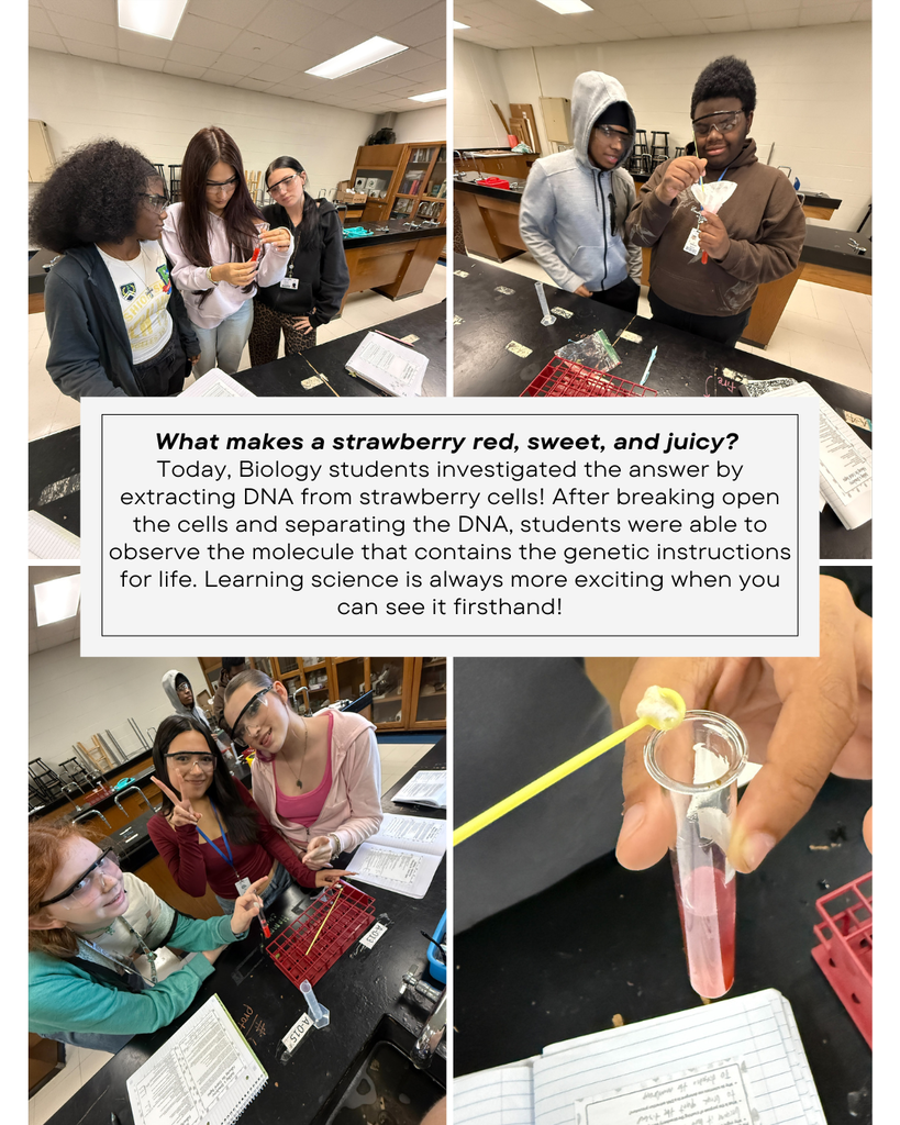 Students working in a lab
