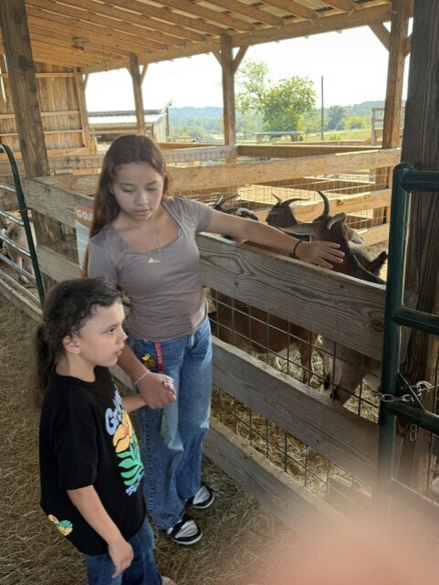 Steed's Dairy
