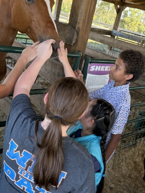 Steed's Dairy