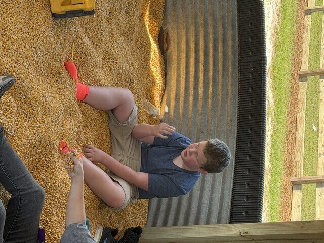 Steed's Dairy